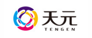 廣東天元